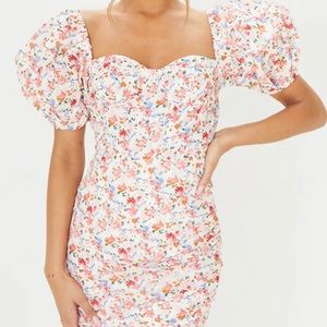 PLT ditsy print ruched hem bodycon dress US 8 EUC